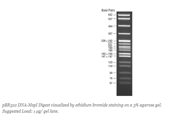 DNA Molecular Weight Marker V