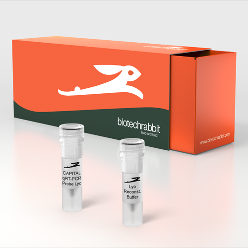 Lypholized One-step PCR kit