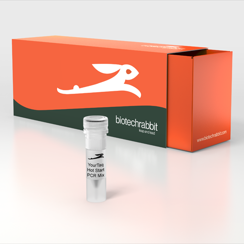 PCR kit lypholized