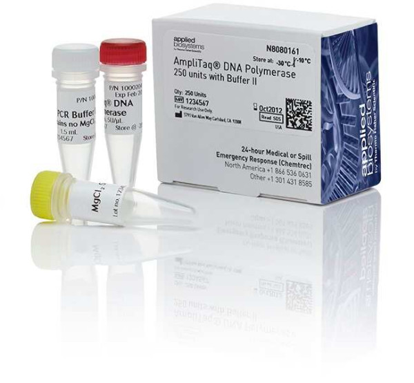 Applied Biosystems™ AmpliTaq™ DNA Polymerase avec tampon II